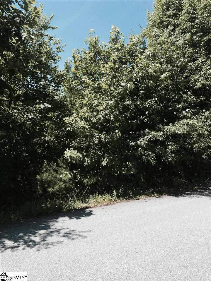 Audubon Road Greenville, SC 29609 - Photo 1 of 3