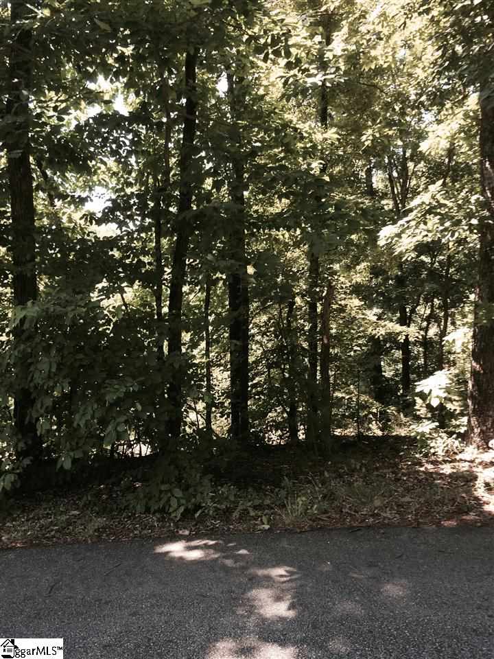 Audubon Road Greenville, SC 29609 - Photo 2 of 3