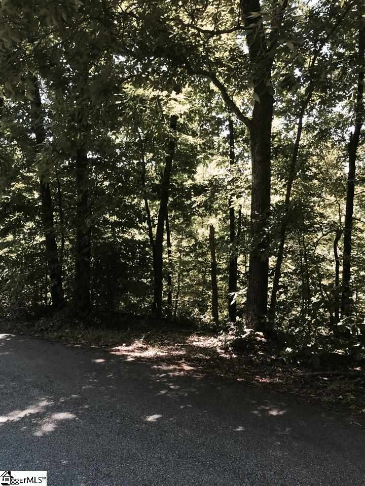 Audubon Road Greenville, SC 29609 - Photo 3 of 3