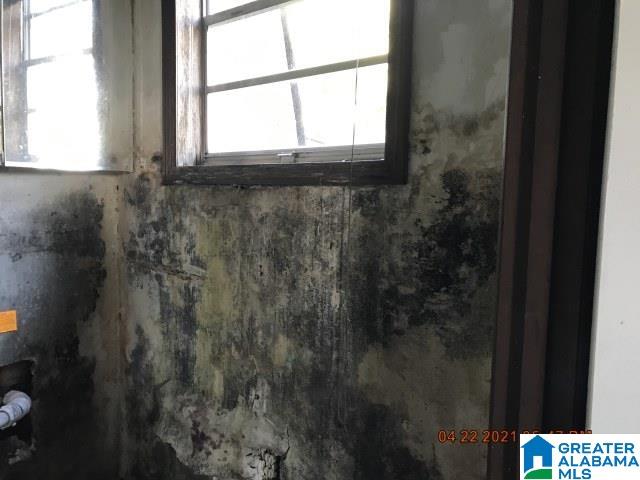 237 James Street Sumiton, AL 35148 - Photo 11 of 45 Gallery Image 11