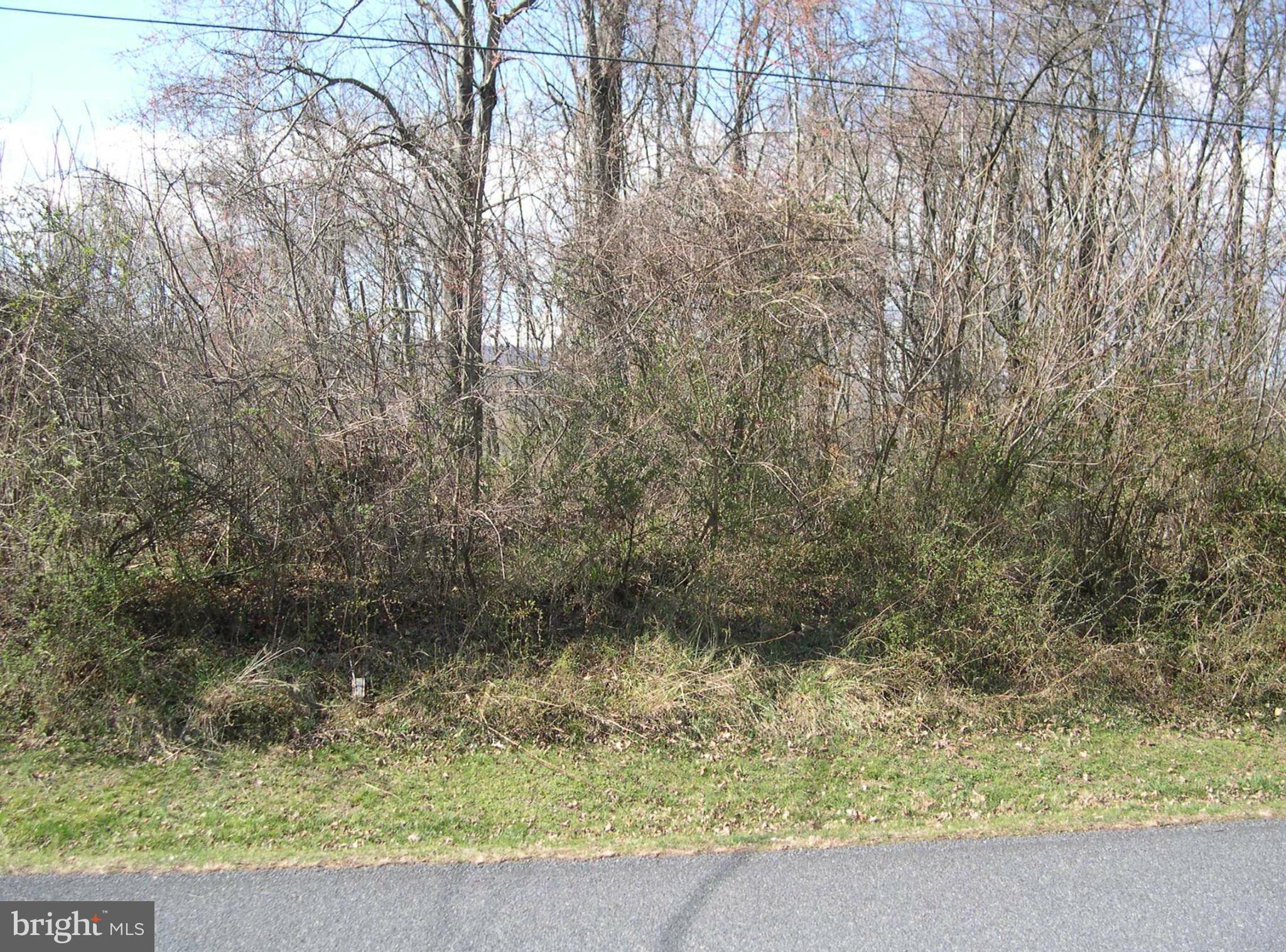 3 Deep Powder Trail Fairfield, PA 17320 - Photo 3 of 3 View