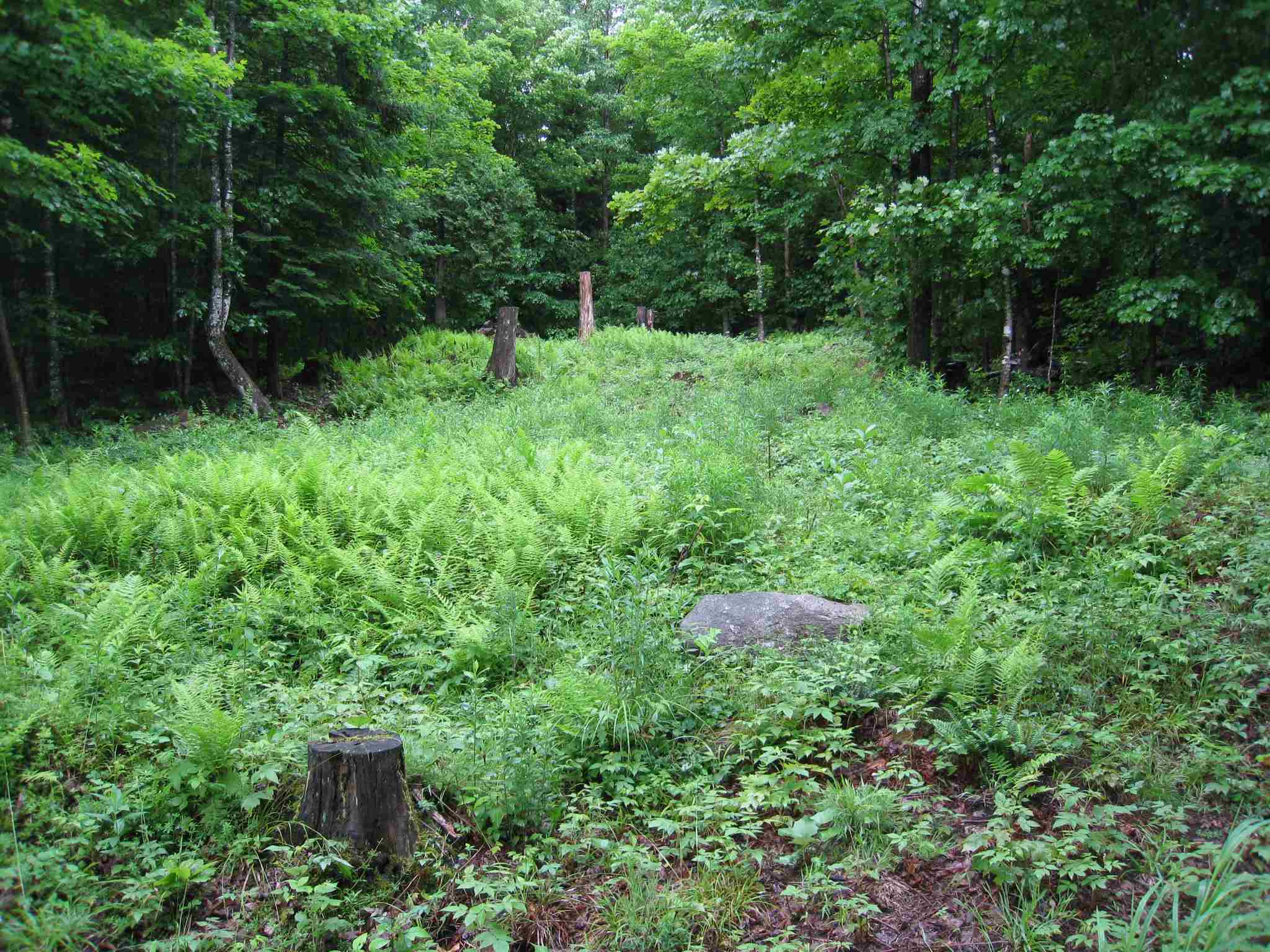 Davis Road Island Pond, VT 05846 - Photo 6 of 8 Gallery Image 6