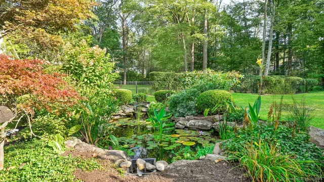a view of a garden with plants and large trees