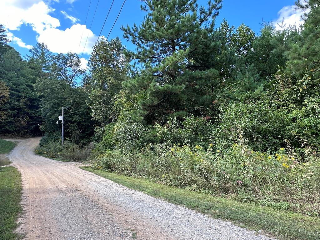 Tbd Ross Ridge Road Murphy, NC 28906 - Photo 4 of 13