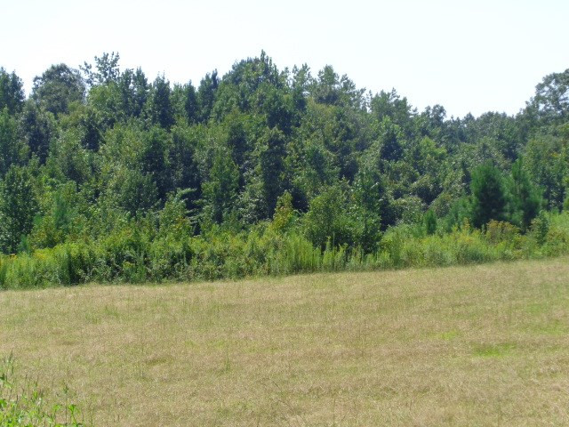 3469 Flint Young Road Utica, MS 39175 - Photo 1 of 18 Photo 1