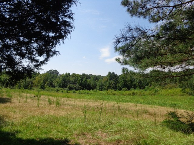 3469 Flint Young Road Utica, MS 39175 - Photo 11 of 18 Photo 11
