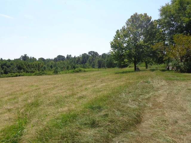 3469 Flint Young Road Utica, MS 39175 - Photo 14 of 18 Photo 14