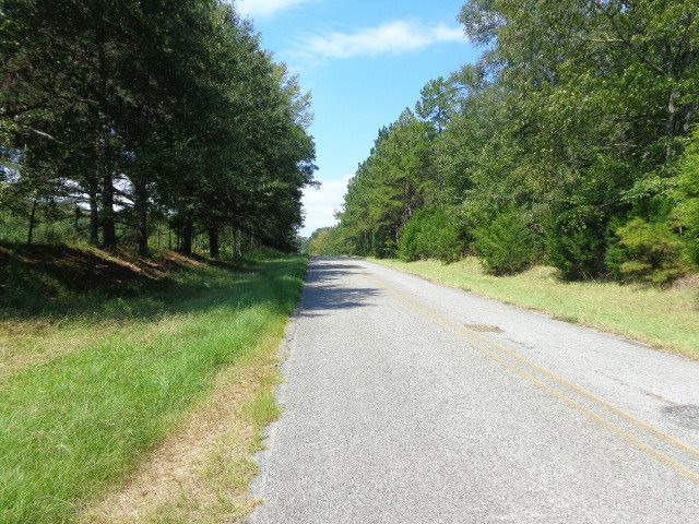 3469 Flint Young Road Utica, MS 39175 - Photo 16 of 18 Photo 16