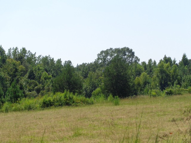 3469 Flint Young Road Utica, MS 39175 - Photo 3 of 18 Photo 3