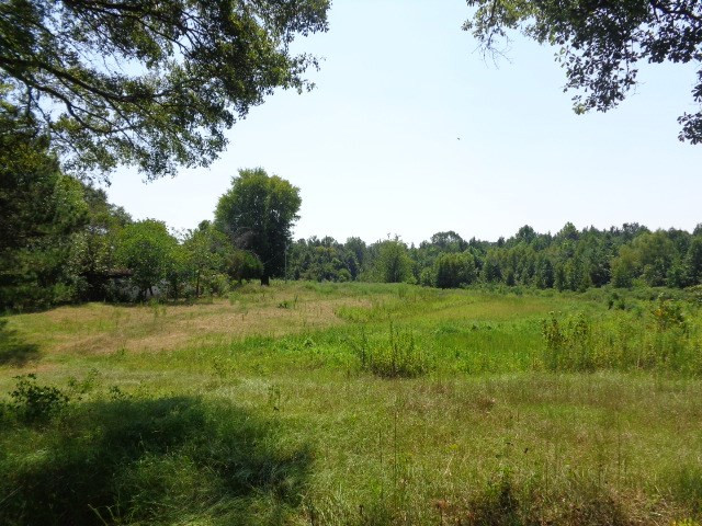 3469 Flint Young Road Utica, MS 39175 - Photo 5 of 18 Photo 5
