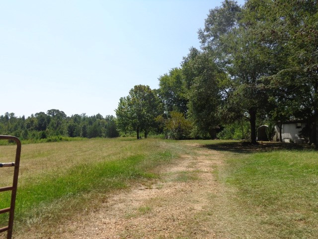 3469 Flint Young Road Utica, MS 39175 - Photo 9 of 18 Photo 9