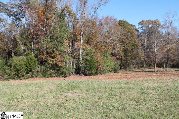 0 Sally Reed Road, Unit LOT 27 Belton, SC 29627 - Photo 19 of 32