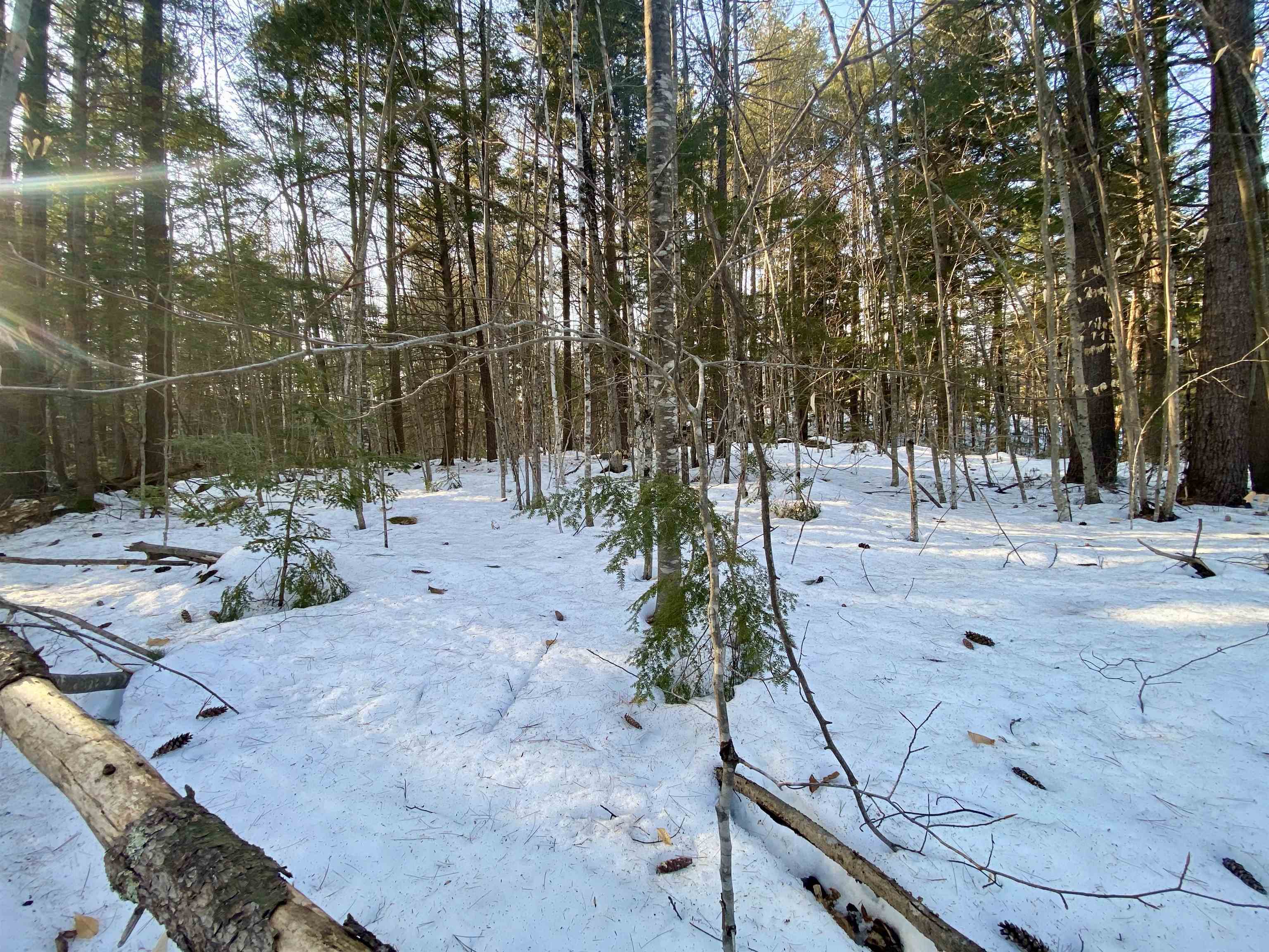 65 Ossipee Mountain Road Ossipee, NH 03814 - Photo 2 of 8