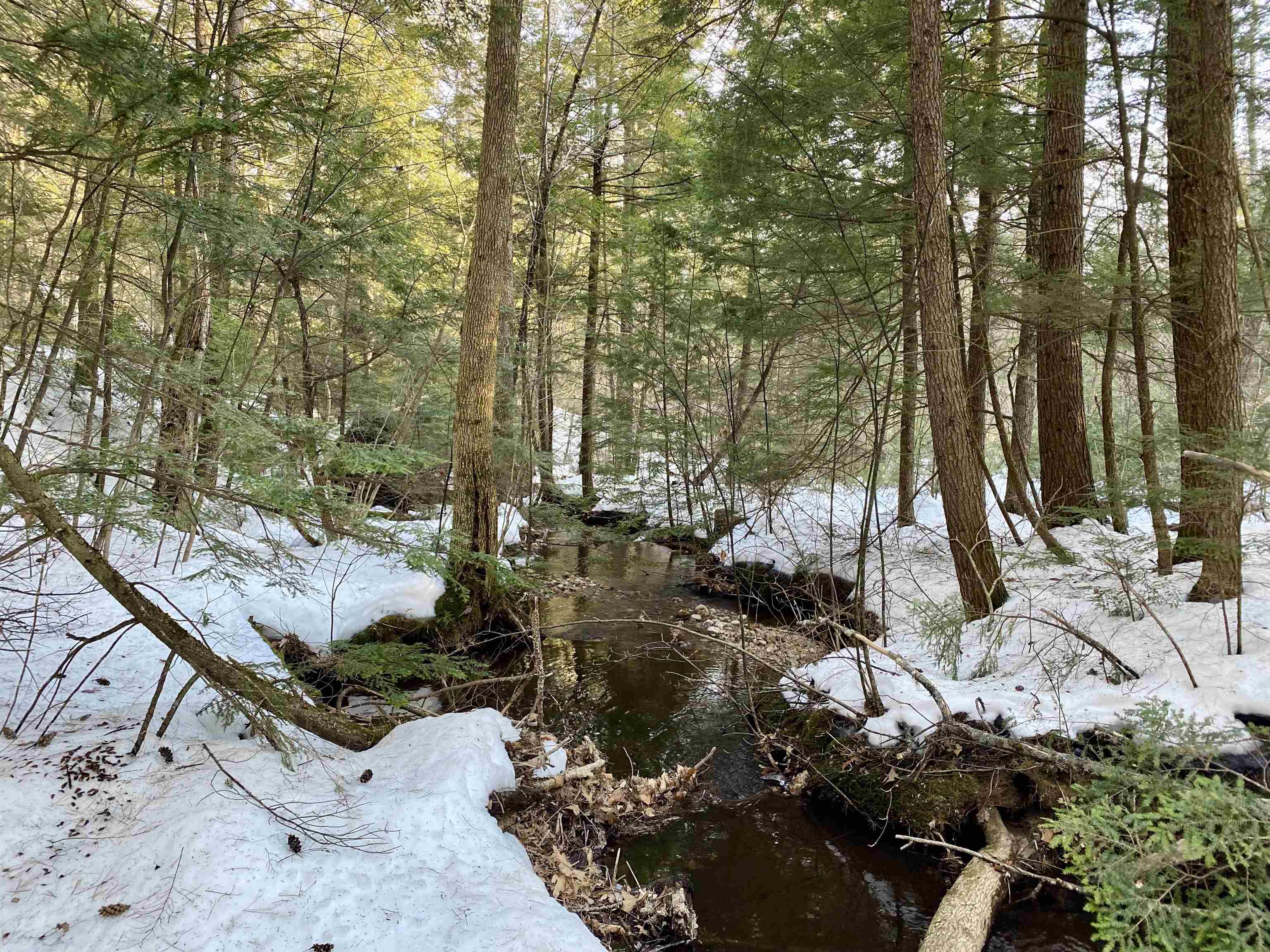 65 Ossipee Mountain Road Ossipee, NH 03814 - Photo 7 of 8
