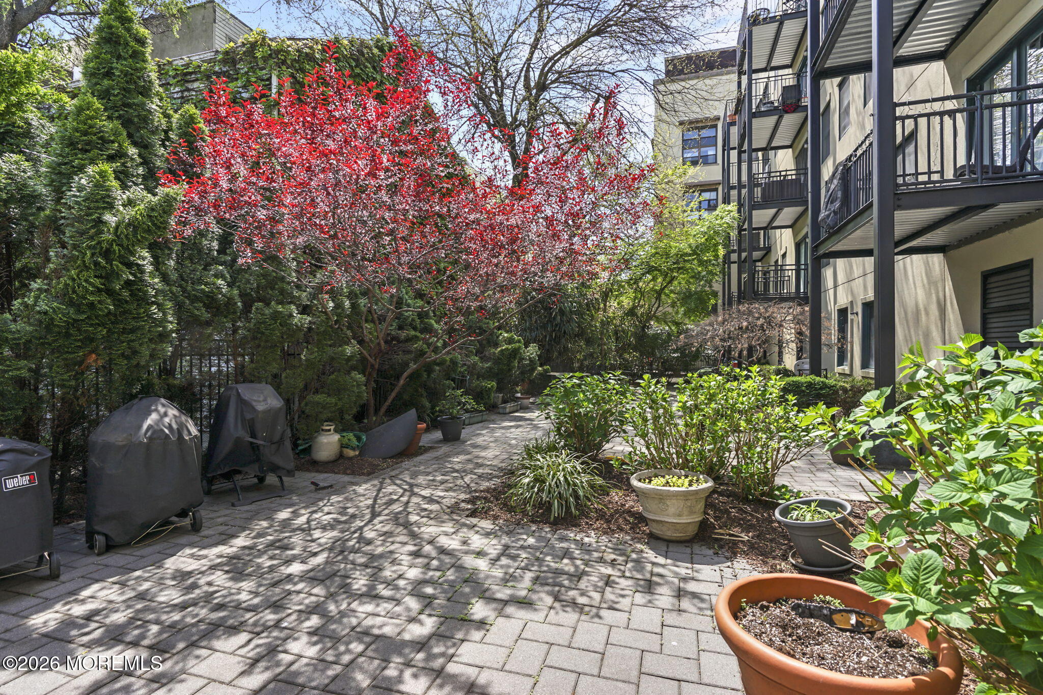 87 Jackson Street, Unit 4B Hoboken, NJ 07030 - Photo 24 of 29 common backyard