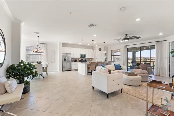 a picture of a potted plant sitting in a room