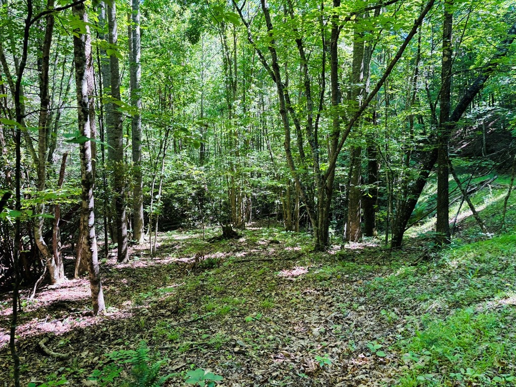 Tbd Pleasantview Road, Unit 72 Austinville, VA 24312 - Photo 44 of 63 Gallery Image 44