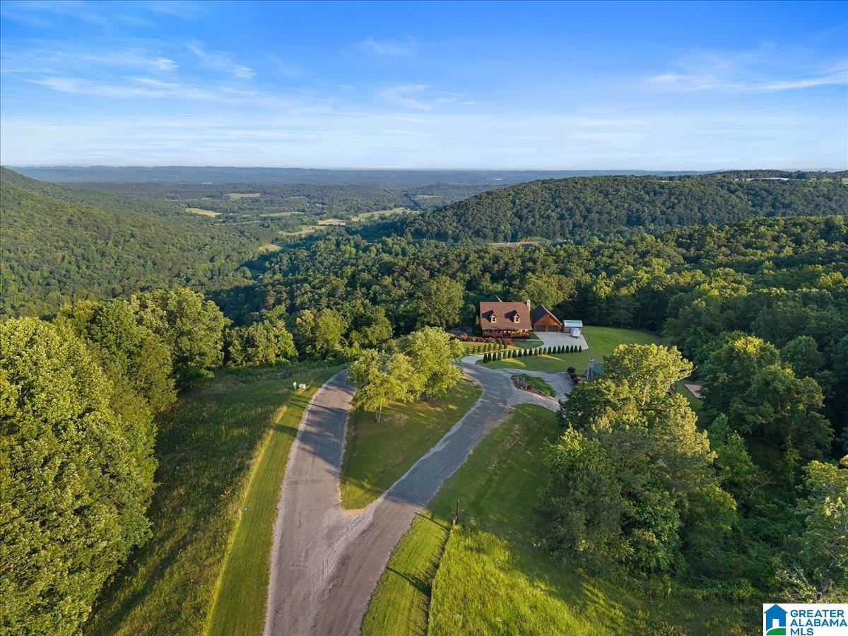428 Eagle Rdg Road Gallant, AL 35972 - Photo 52 of 52