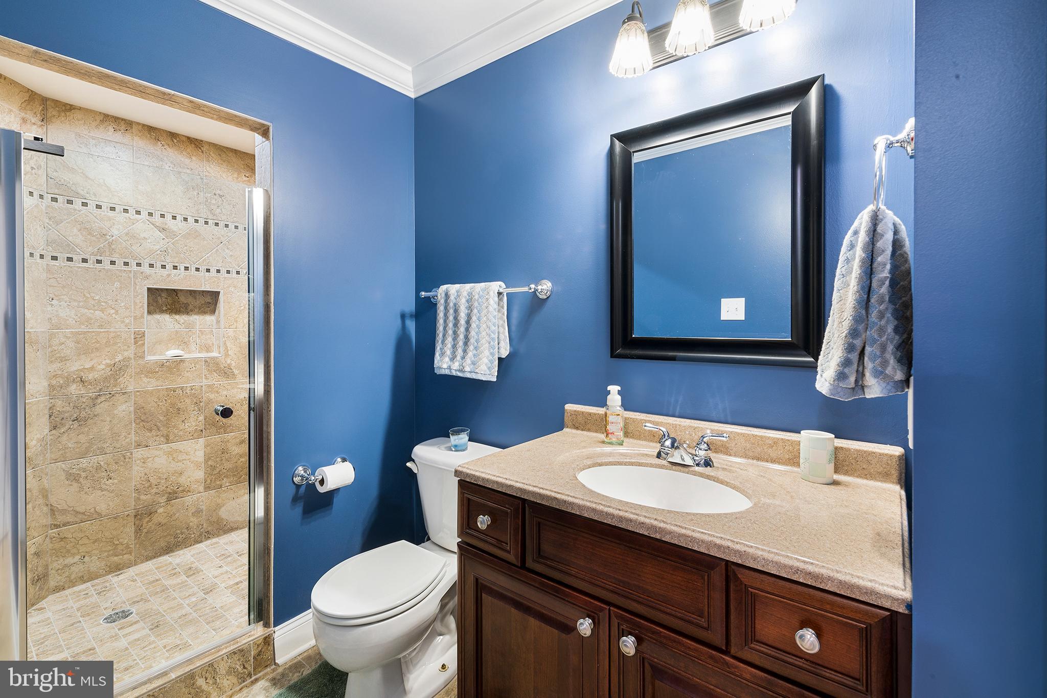 6 Rigby Court Garnet Valley, PA 19060 - Photo 45 of 62 Lower Level Full Bath (shower)