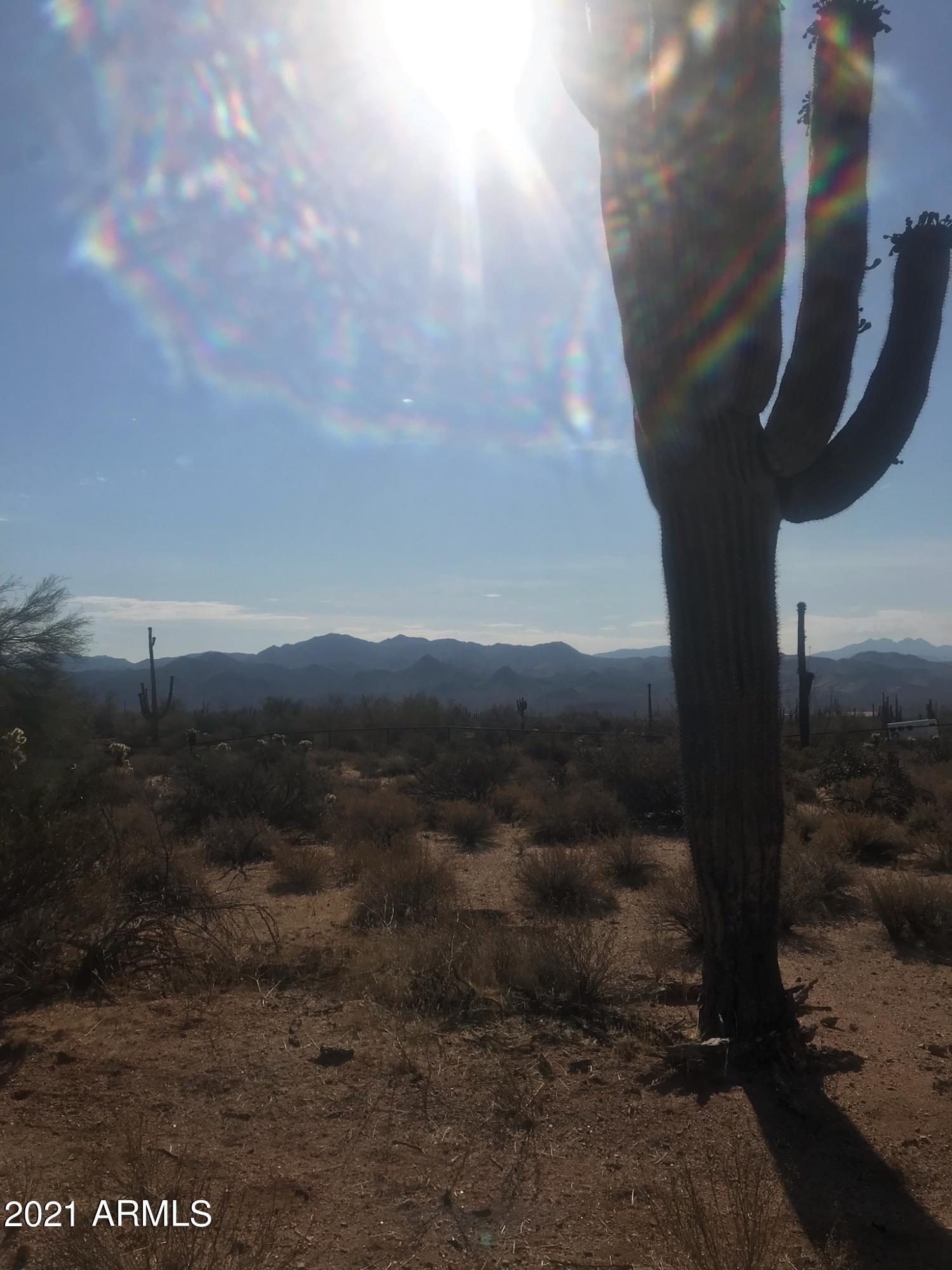 31300 North 173 Rd Place Rio Verde, AZ 85263 - Photo 1 of 5 17rd pic 2