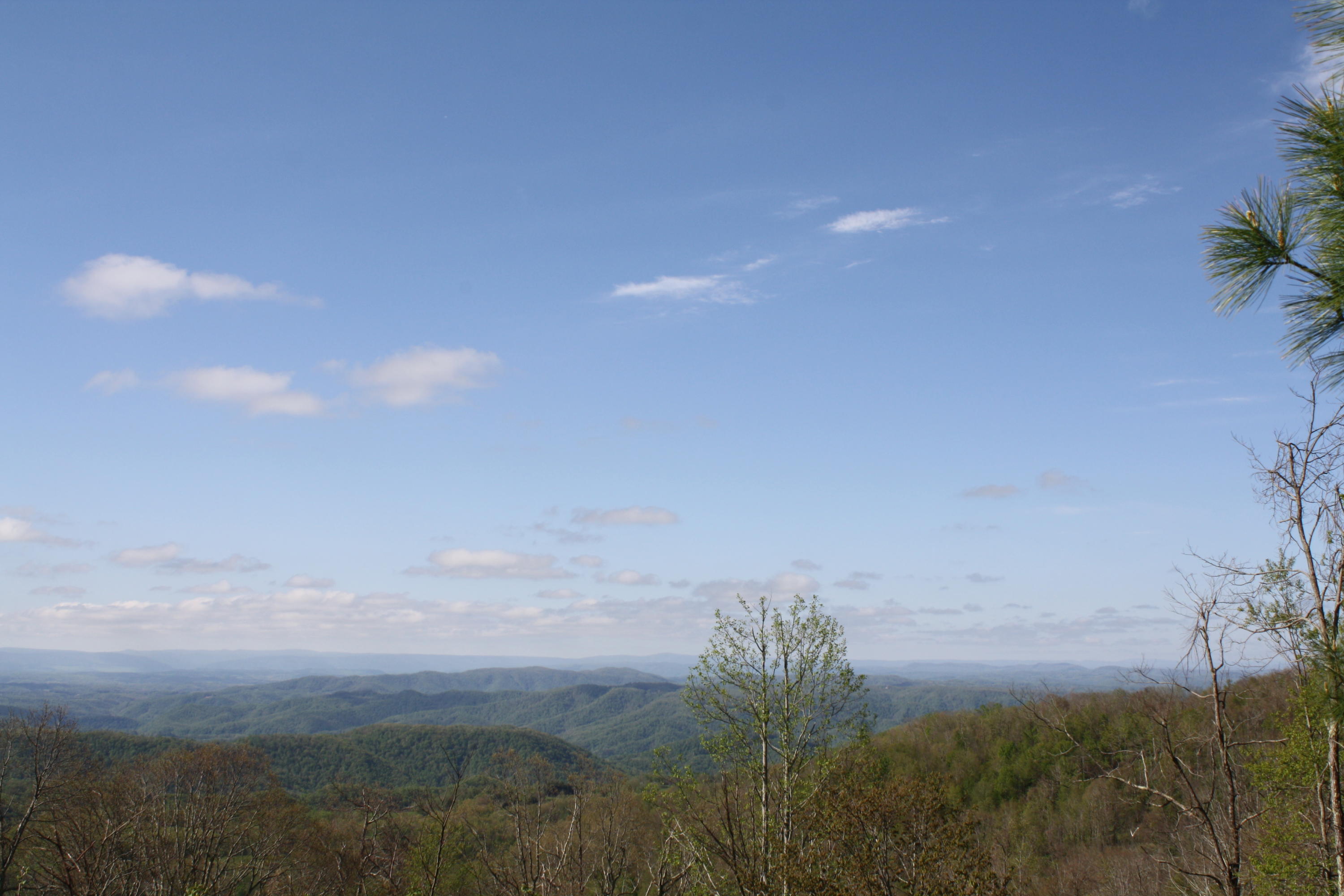 1161 Plumley Mountain Road Sandstone, WV 25985 - Photo 85 of 138 Gallery Image 85