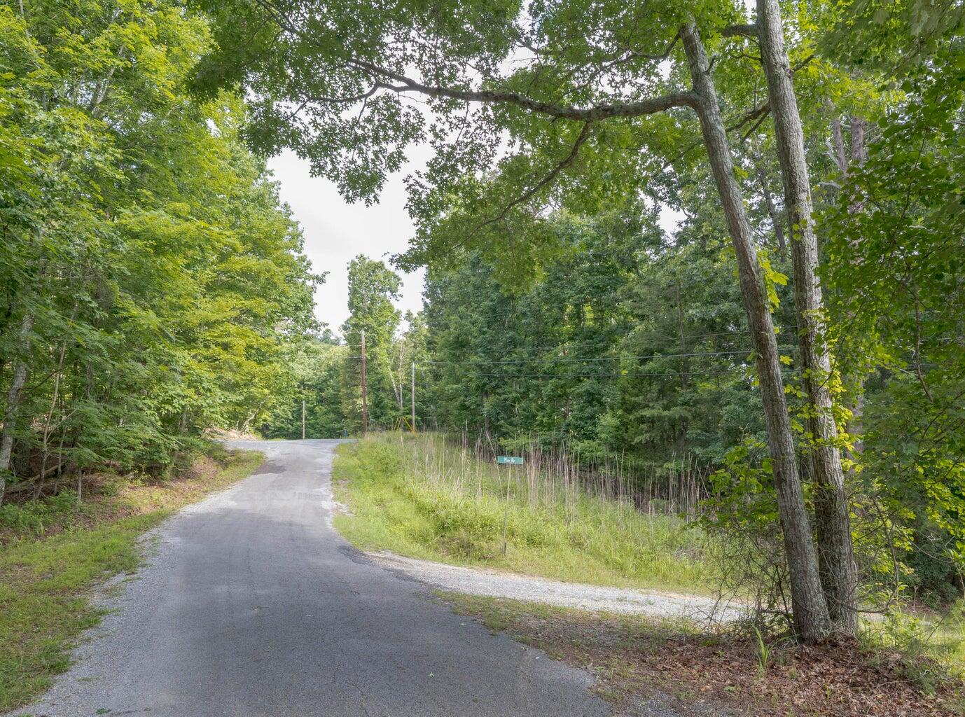 Lot 165 Maple Drive Spring City, TN 37381 - Photo 4 of 8 4