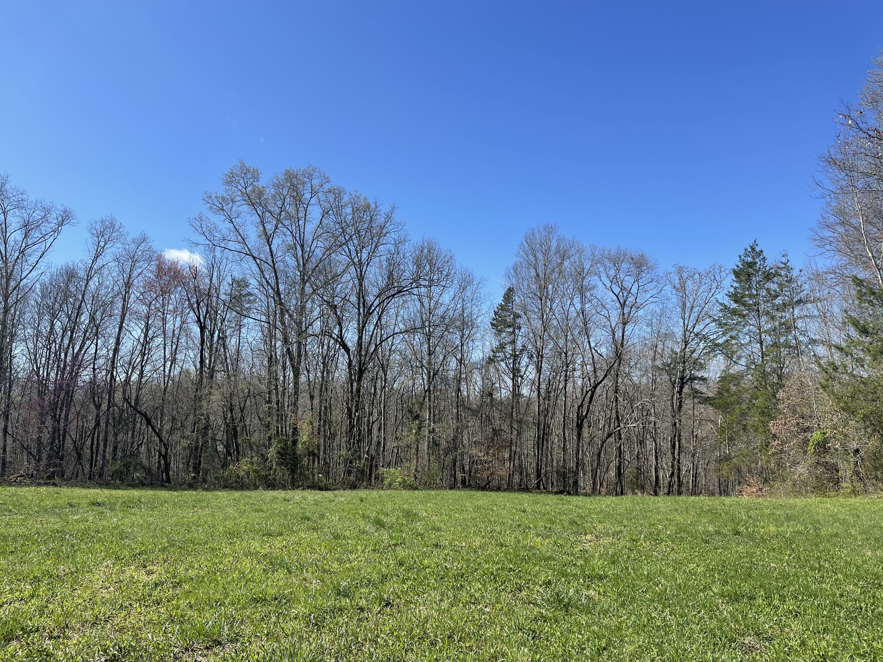 360 Heiskell Road Heiskell, TN 37754 - Photo 2 of 15 IMG_9499