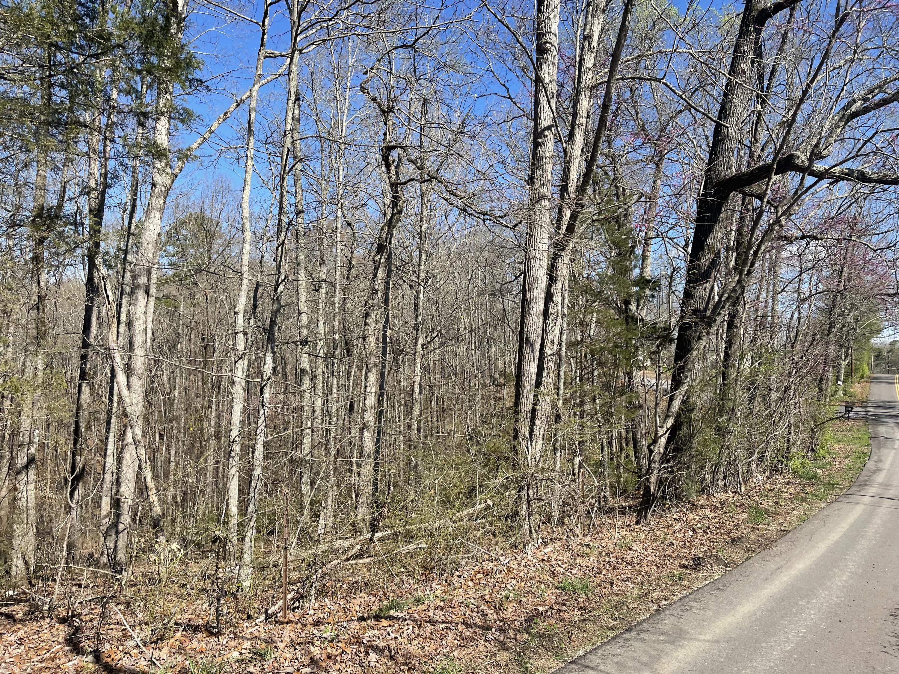 360 Heiskell Road Heiskell, TN 37754 - Photo 6 of 15 IMG_9486