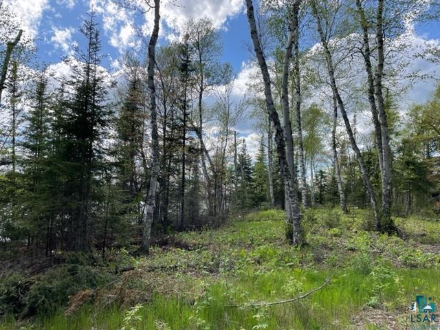 1873 Bobence Road Ely, MN 55731 - Photo 8 of 9 View of mother earth's splendor