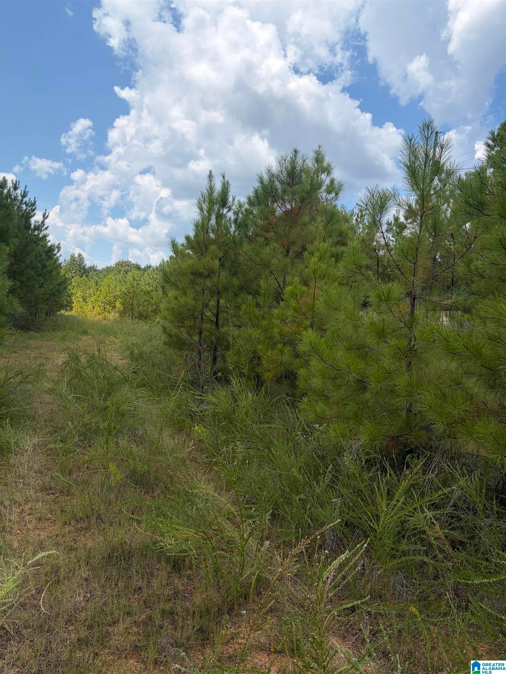 228 County Road, Unit 1 Clanton, AL 35045 - Photo 15 of 22 Gallery Image 15