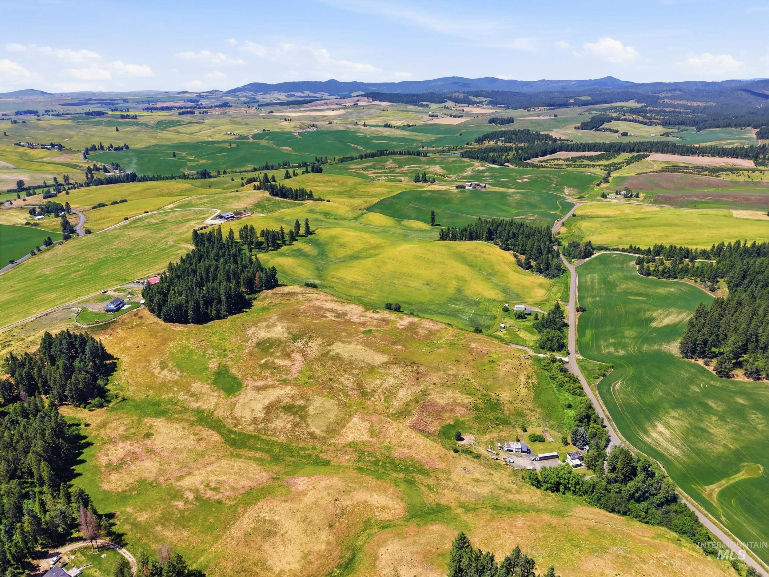 Tbd Reynolds Road Princeton, ID 83857 - Photo 1 of 11