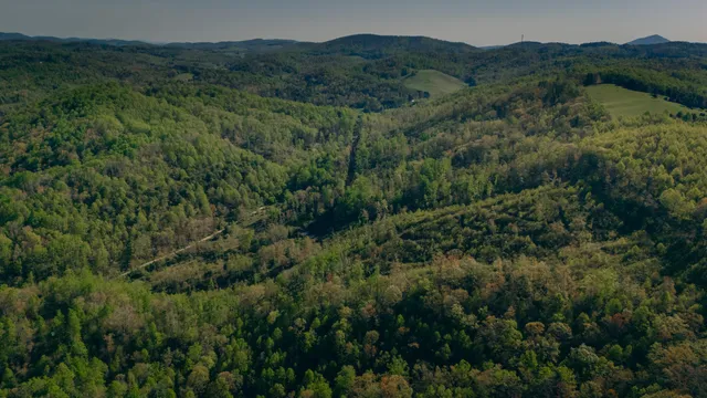 $140,000 | 8270 Twin Falls Road Northeast, Copper Hill, VA 24079