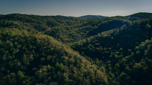 $140,000 | 8270 Twin Falls Road Northeast, Copper Hill, VA 24079