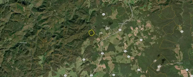 a green field with lots of trees in it