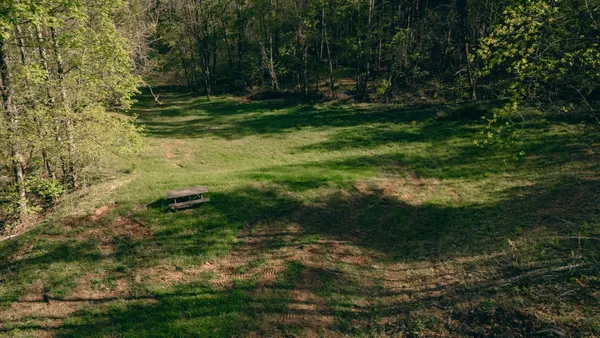 a view of a yard