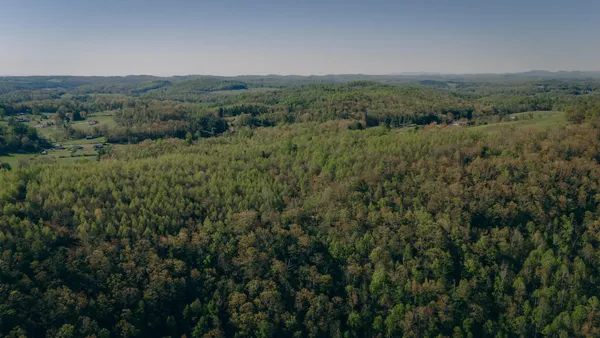 a view of a lush green forest with trees in the background