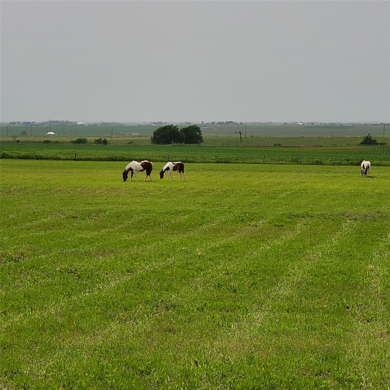 15620 Harry Lind Road Manor, TX 78653 - Photo 8 of 40 a view of a field with an outdoor space