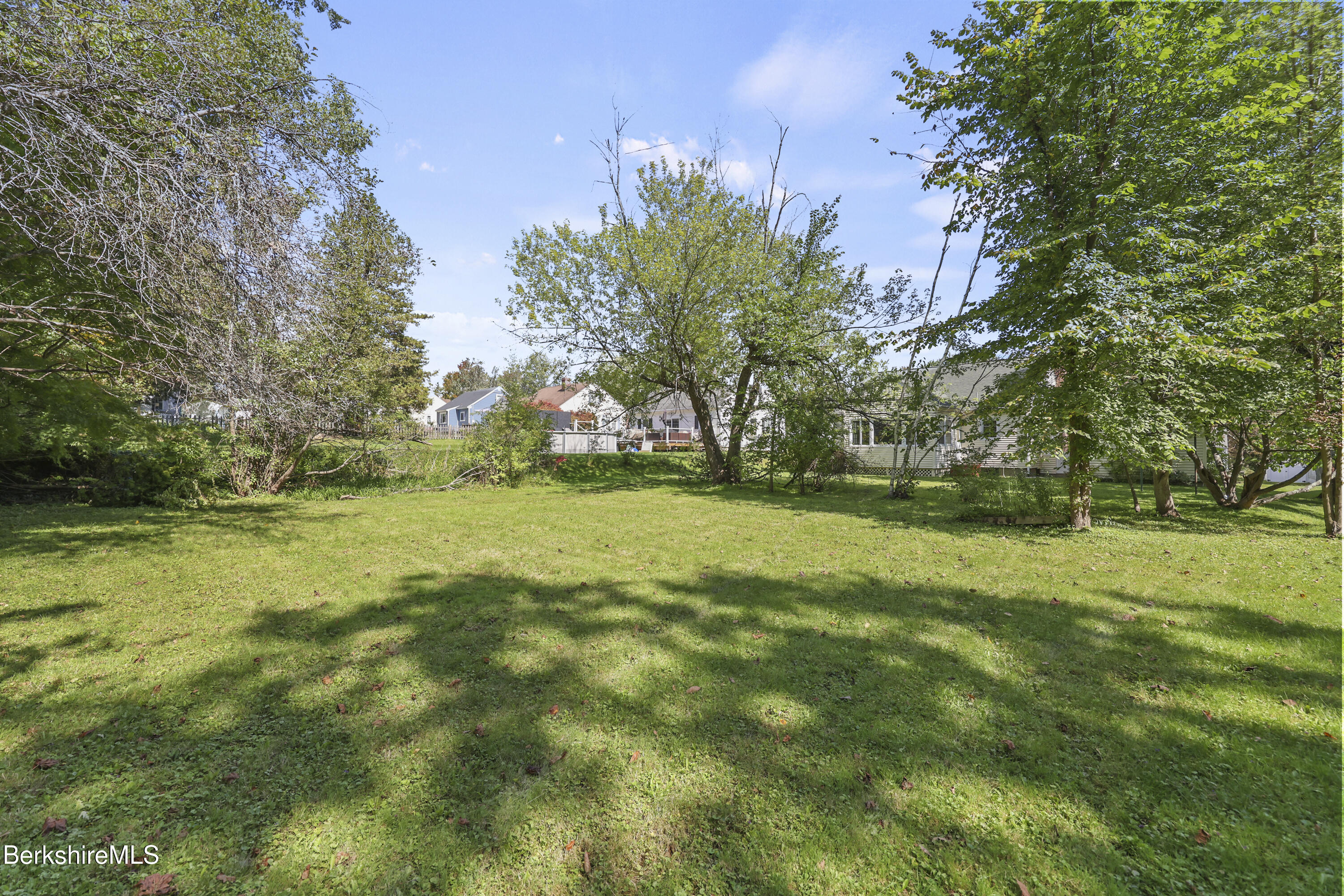 153 Ridgeway Avenue Pittsfield, MA 01201 - Photo 36 of 40 180 Back Yard