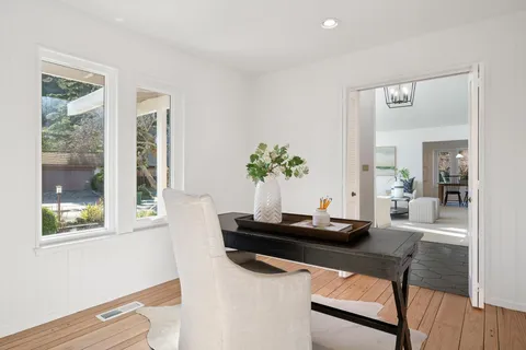 a living room with furniture and a potted plant