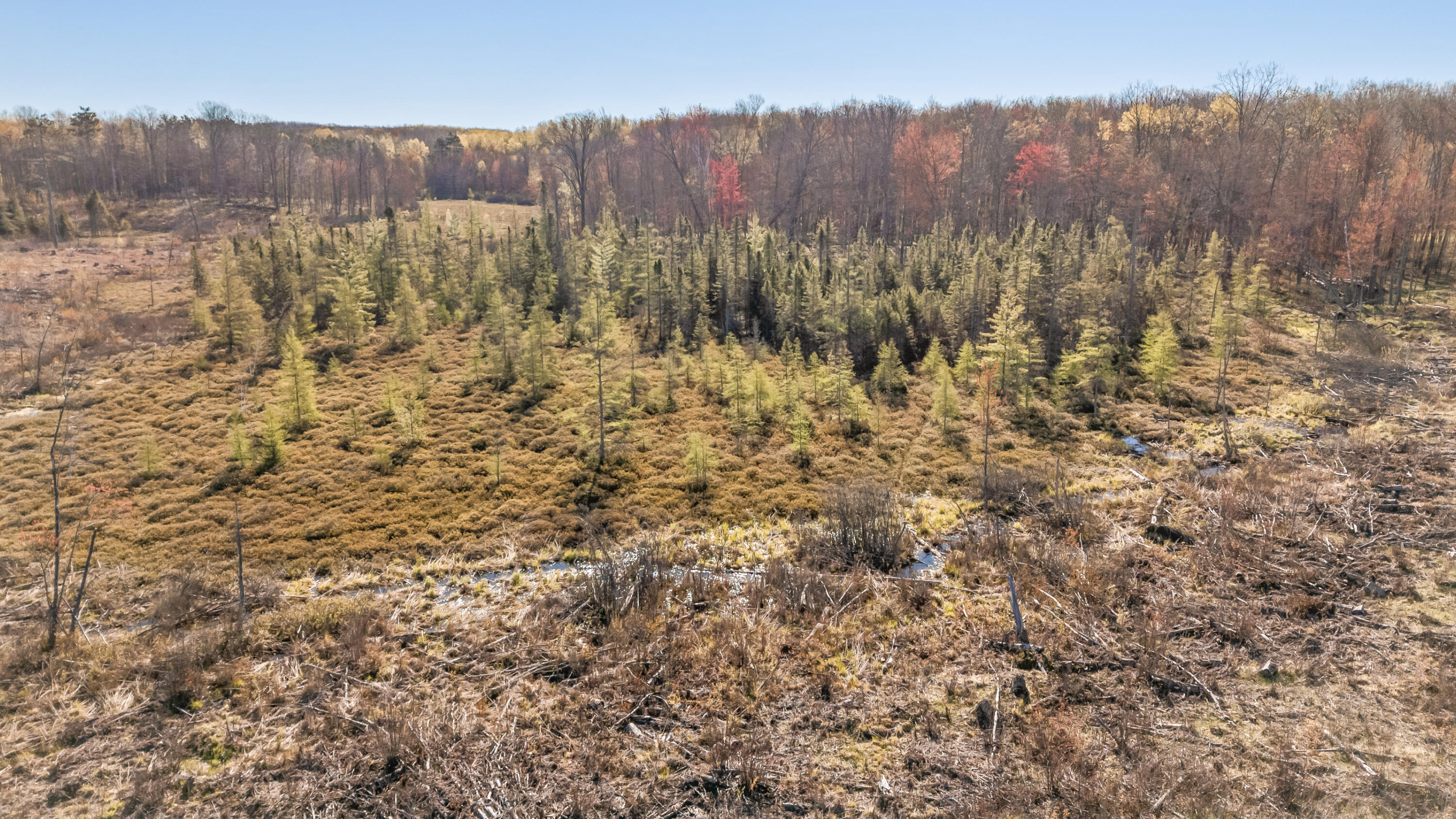 16107 12 Mile Road Leroy, MI 49655 - Photo 24 of 40 16107-12MileRd-Leroy-20