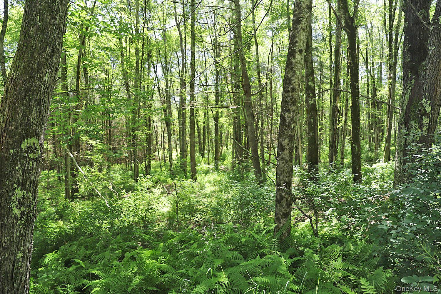 Lot 4 A Hurd Road Bethel, NY 12720 - Photo 12 of 15