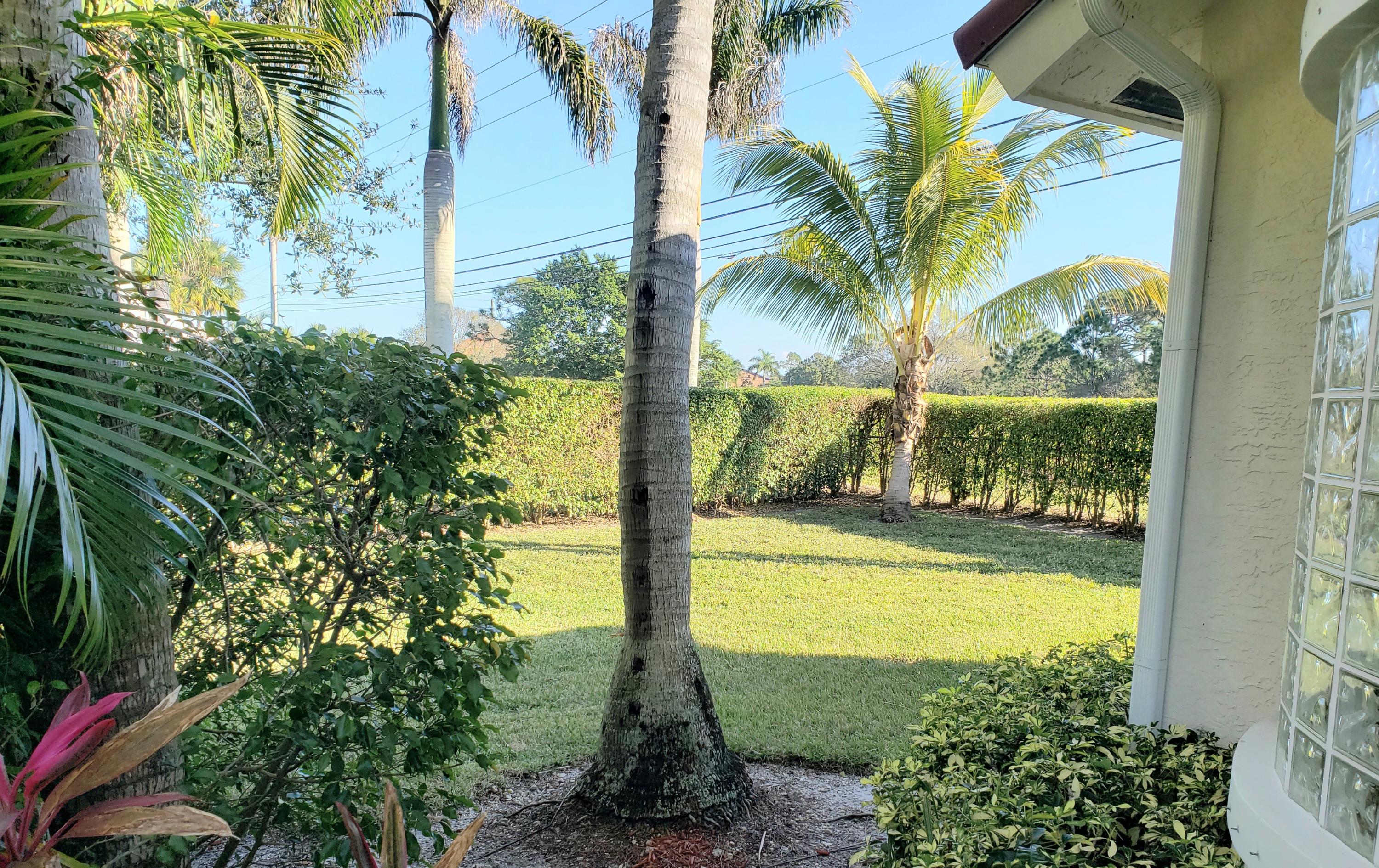 610 Scrubjay Drive Jupiter, FL 33458 - Photo 29 of 29 20633c0223ff-side_yard1