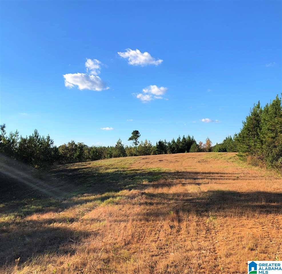 0 Donald Stewart Road, Unit 452 Marion, AL 36756 - Photo 12 of 29 Gallery Image 12