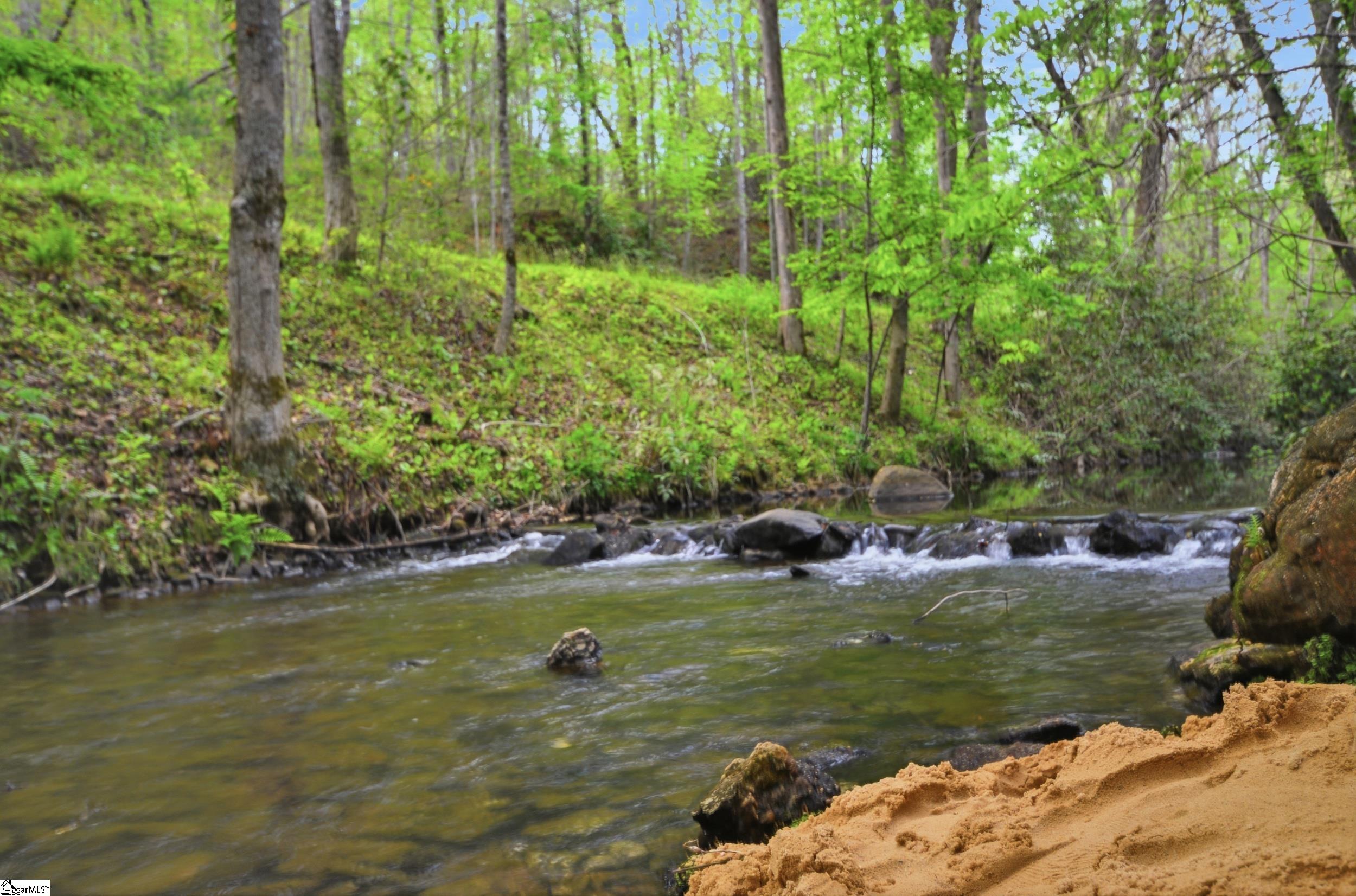 200 Smokey Haze Road Pickens, SC 29671 - Photo 3 of 43