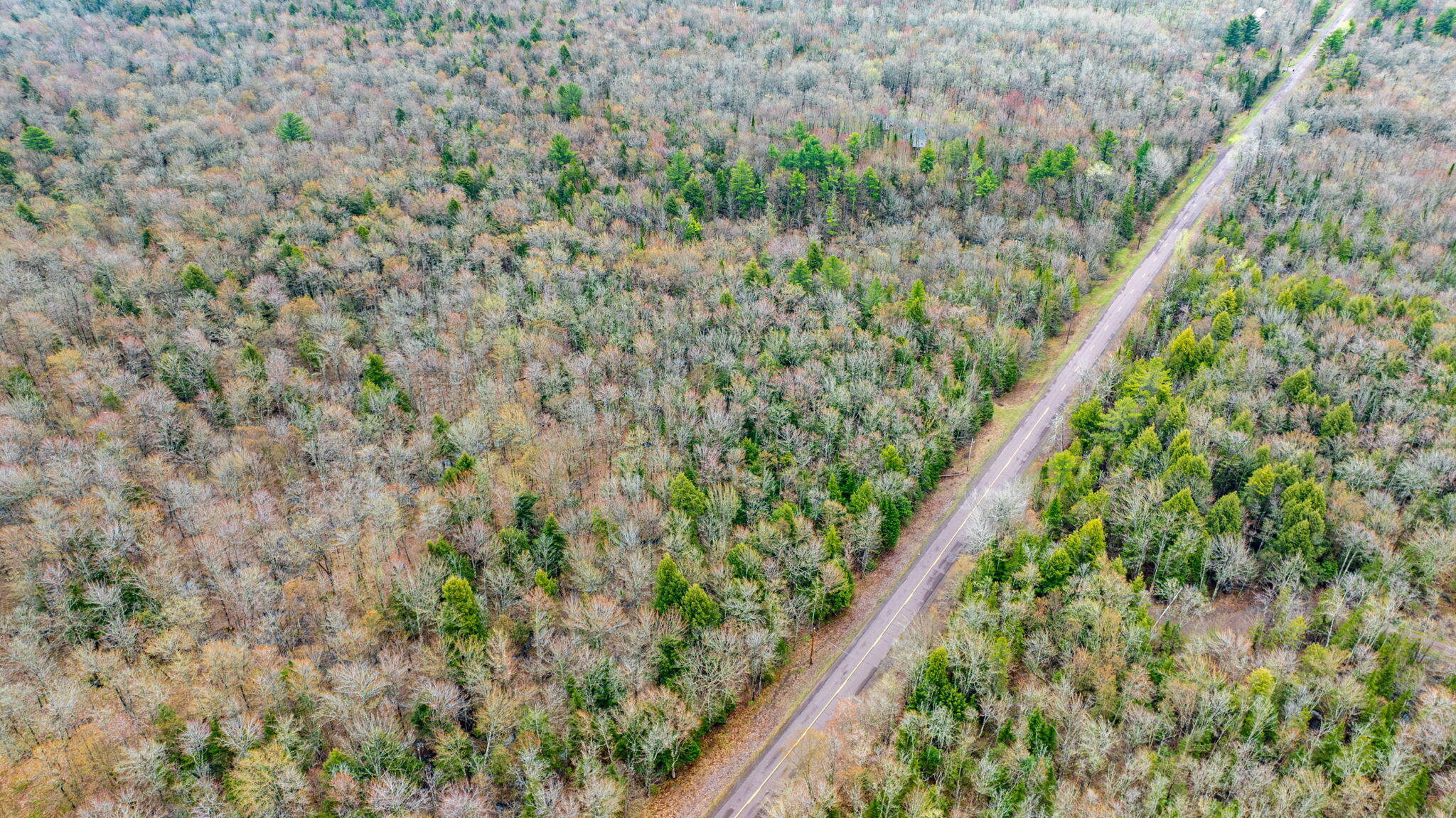 5 A Jacobsville Road Lake Linden, MI 49945 - Photo 18 of 25 20260518--Jacobsville Rd-Max Wierda-43