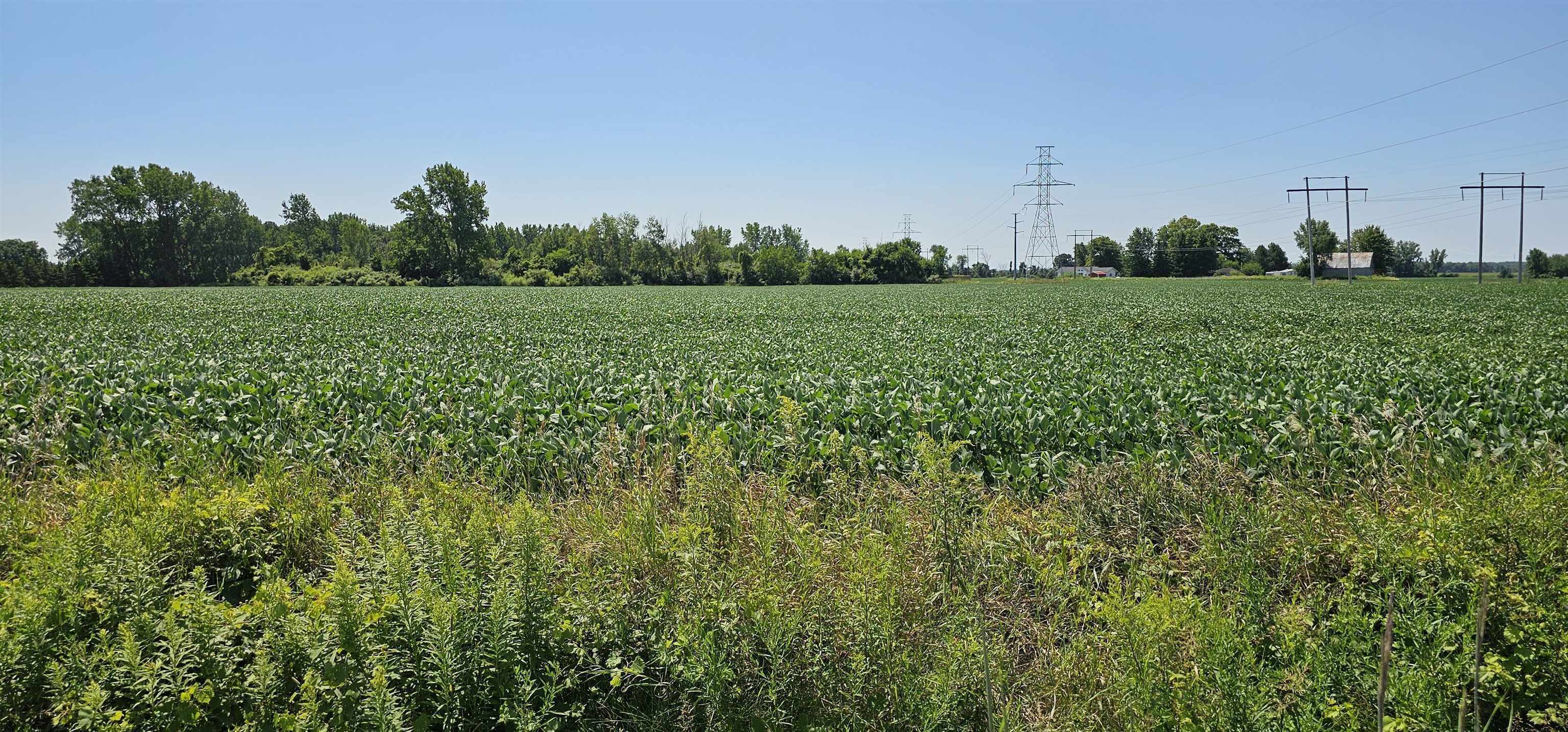 0 West German Road Bay City, MI 48708 - Photo 5 of 6