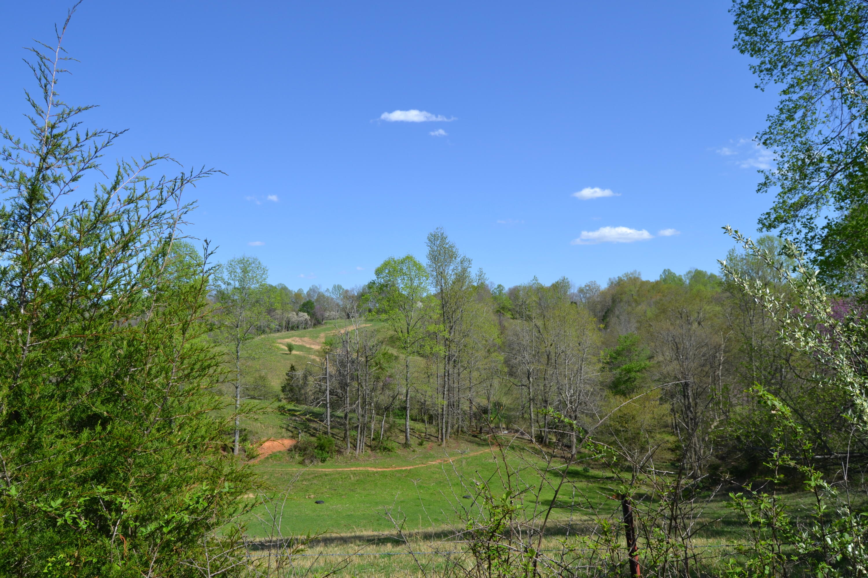 Davis Road Livingston, TN 38570 - Photo 2 of 16 2