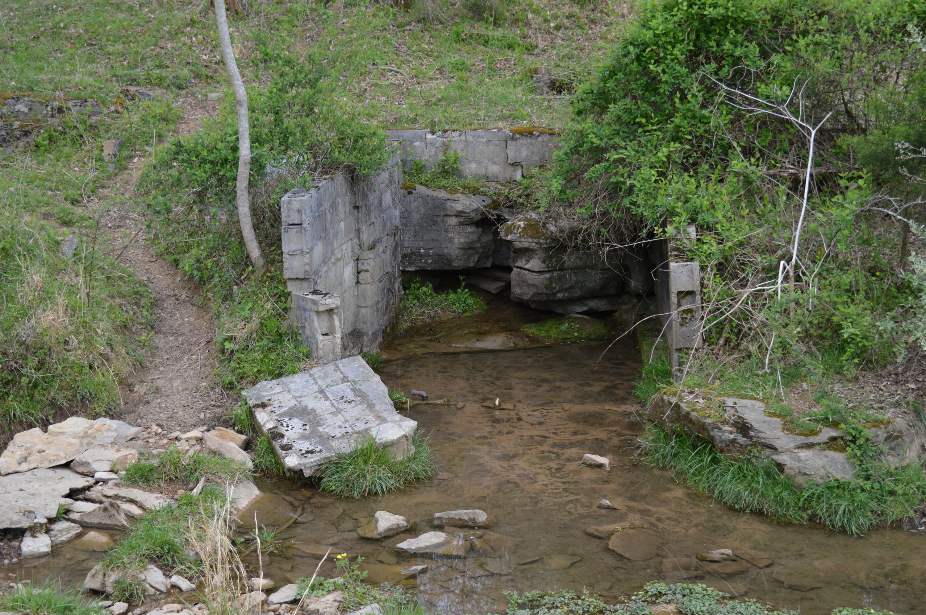 Davis Road Livingston, TN 38570 - Photo 12 of 16 Spring