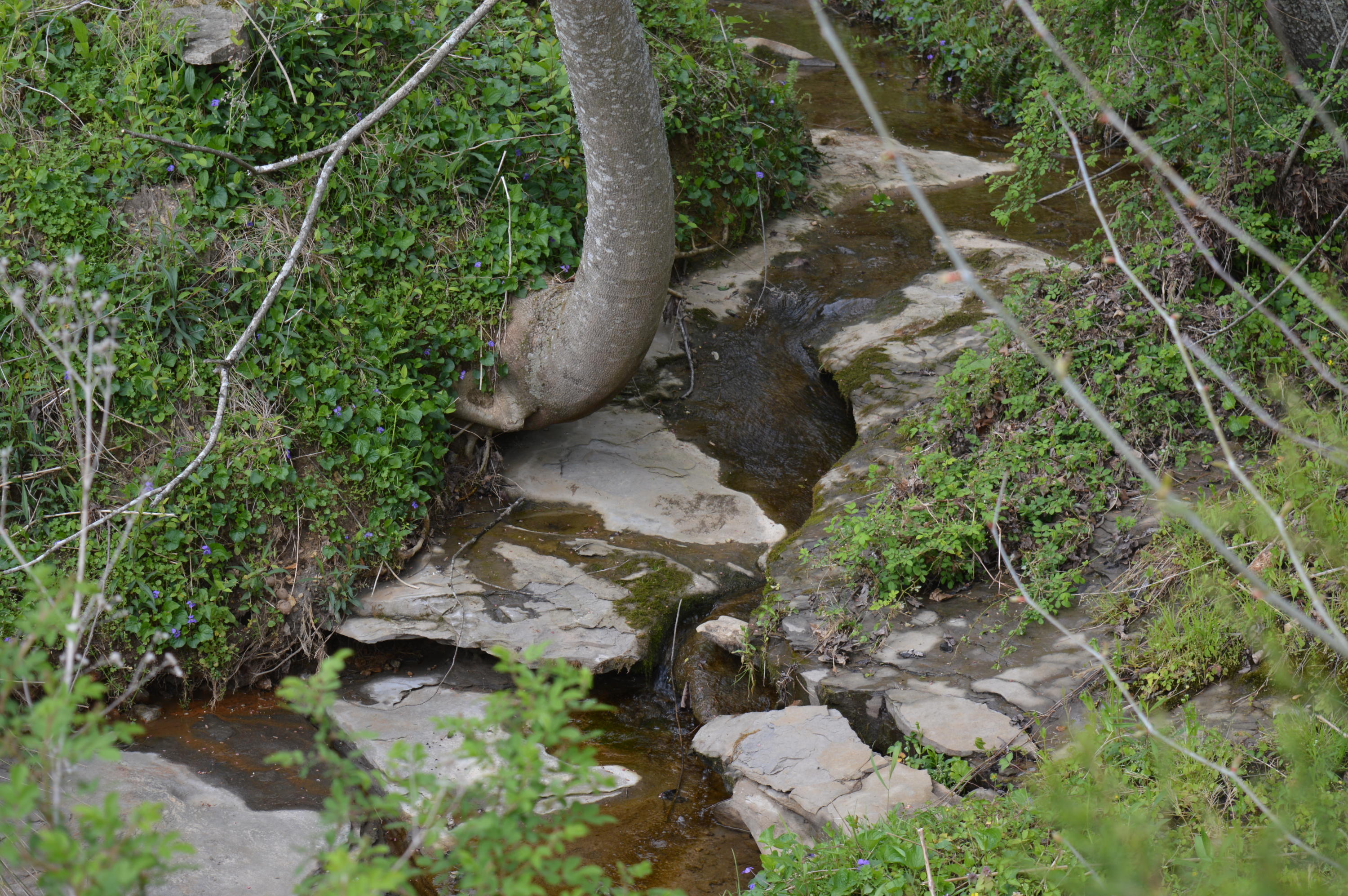 Davis Road Livingston, TN 38570 - Photo 13 of 16 Creek