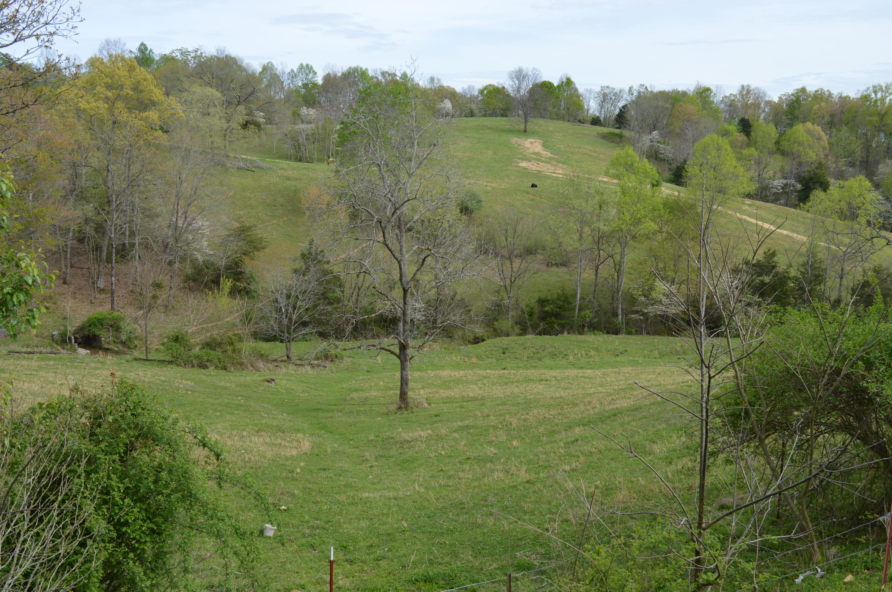 Davis Road Livingston, TN 38570 - Photo 16 of 16 DSC_0016